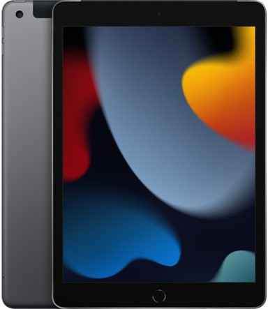 iPad 10.2-inch 2021 9th gen A2603 TD-LTE NA 256GB