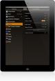 Apple iPad 2 3G A1396 32GB