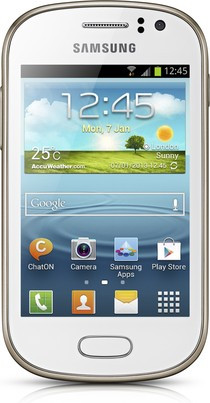 GT-S6810P Galaxy Fame